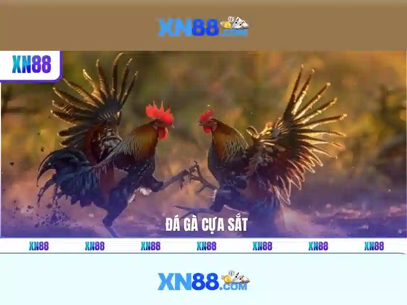 💎cả một cuộc đời vì đời này anh bước đến💎 💎cả một cuộc đời vì đời này anh bước đến💎