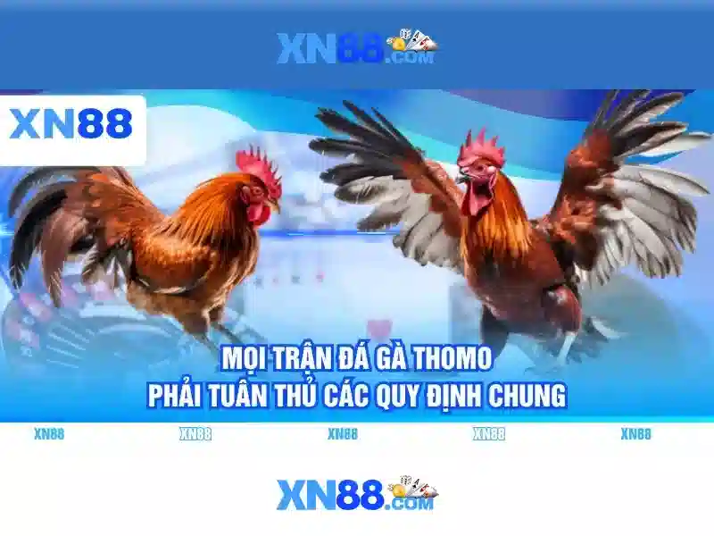 chính sách bảo mật XN88 - xn88 chính sách bảo mật XN88 - xn88
