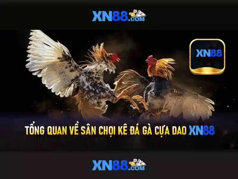 💎kèo nhà cái euro năm 2024💎 💎kèo nhà cái euro năm 2024💎