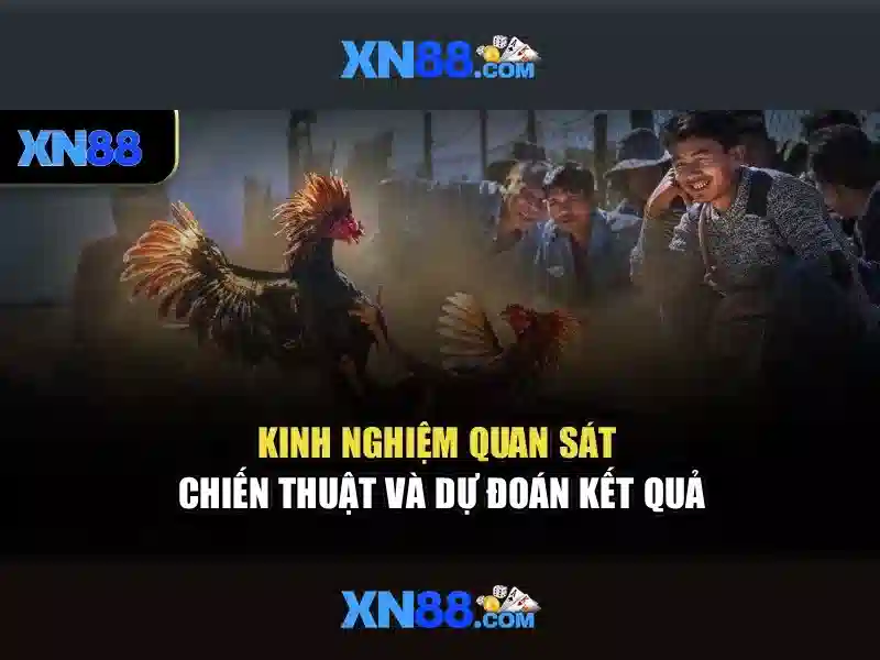 💎c54 game nhà cái c54💎 💎c54 game nhà cái c54💎