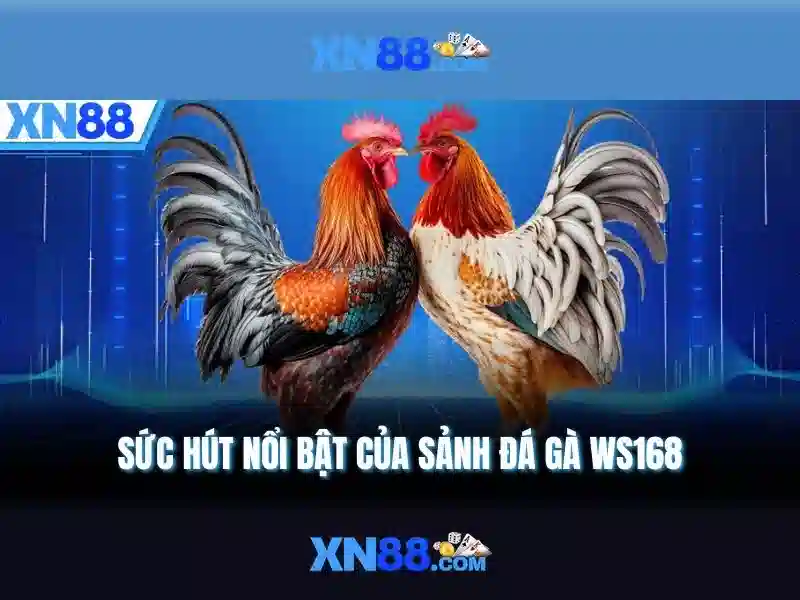 💎dabanggg 888 slot💎 💎dabanggg 888 slot💎