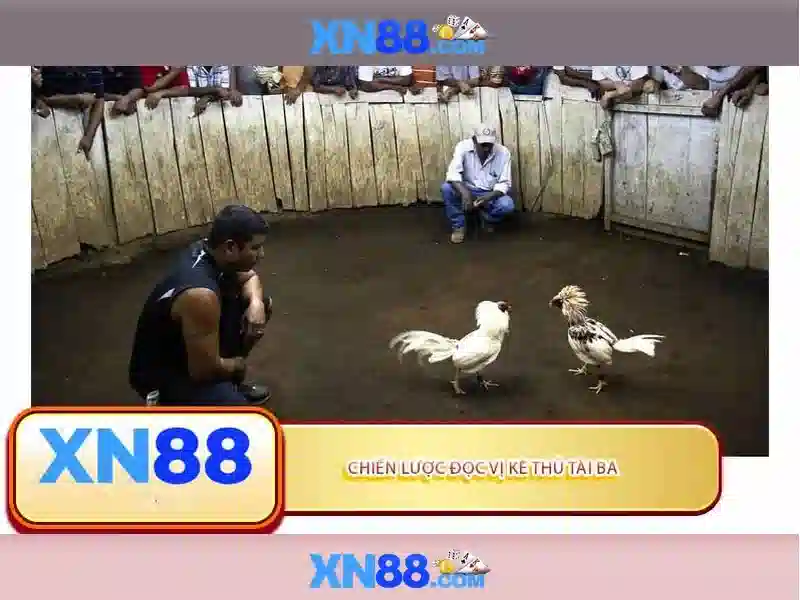 💎khóa: kèo nhà cái city💎 💎khóa: kèo nhà cái city💎