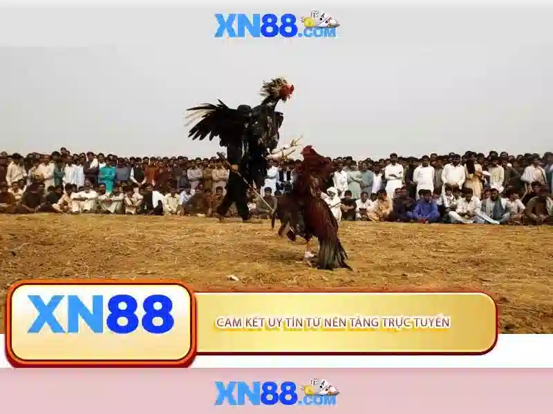 💎pragmatic play slots games💎 💎pragmatic play slots games💎