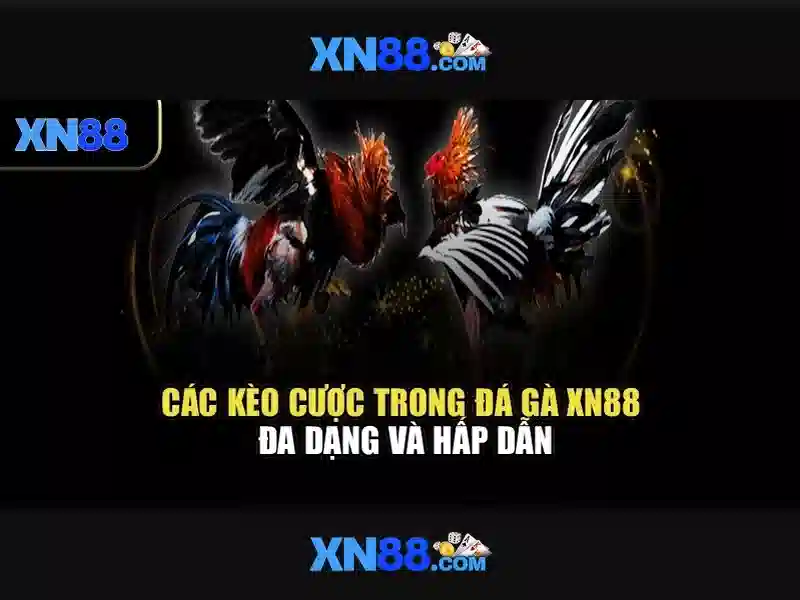 💎nha cai uy tin226.com💎 💎nha cai uy tin226.com💎