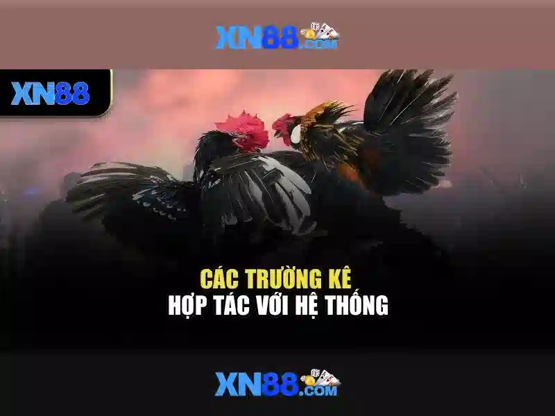 💎link sbobet ca cuoc the thao💎 💎link sbobet ca cuoc the thao💎