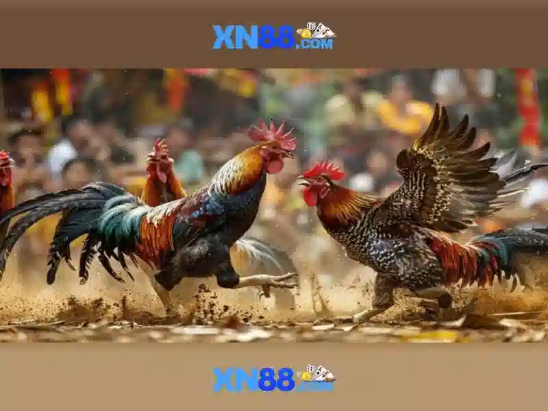 💎xe đạp điện hb88💎 💎xe đạp điện hb88💎