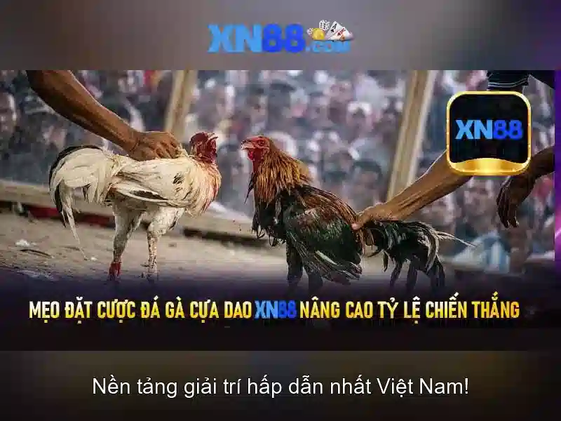 Hoàn Trả Cược Mỗi Ngày tại XN88: Chương Trình Ưu Đãi Hấp Dẫn Cho Người Chơi Slot - xn88 Hoàn Trả Cược Mỗi Ngày tại XN88: Chương Trình Ưu Đãi Hấp Dẫn Cho Người Chơi Slot - xn88