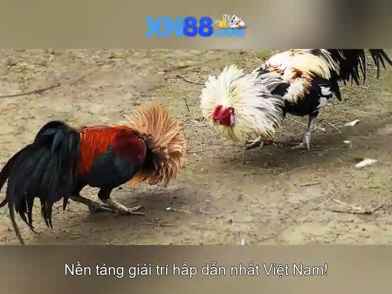 💎online slots gratis💎 💎online slots gratis💎