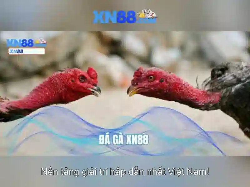 💎đánh bạc online dưới 5tr💎 💎đánh bạc online dưới 5tr💎