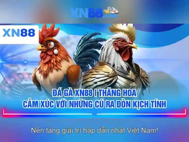 💎how to play xn88 games💎 💎how to play xn88 games💎