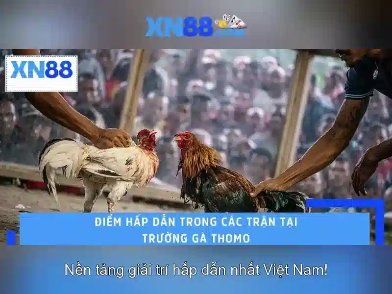 💎acer nitro 5 an515-51 ssd slot💎 💎acer nitro 5 an515-51 ssd slot💎