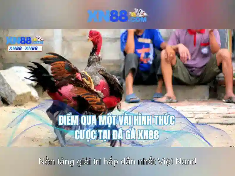 XN88 Casino – Trải Nghiệm Giải Trí Số 1 Với Độ Bảo Mật Cao - xn88 XN88 Casino – Trải Nghiệm Giải Trí Số 1 Với Độ Bảo Mật Cao - xn88