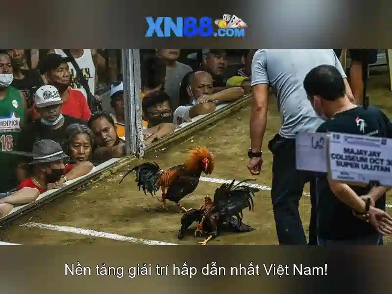 💎điệp viên 007 sòng bạc hoàng gia vietsub💎 💎điệp viên 007 sòng bạc hoàng gia vietsub💎