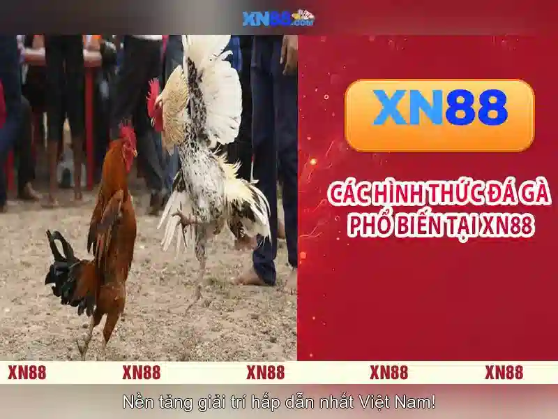 💎giới thiệu nhà cái xn88💎 💎giới thiệu nhà cái xn88💎