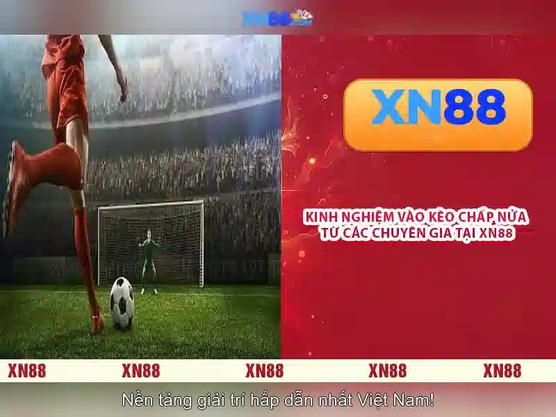 💎xsmt .me💎 💎xsmt .me💎