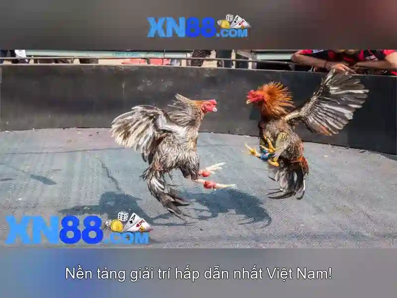 💎vivo s1 pro sim slot💎 💎vivo s1 pro sim slot💎