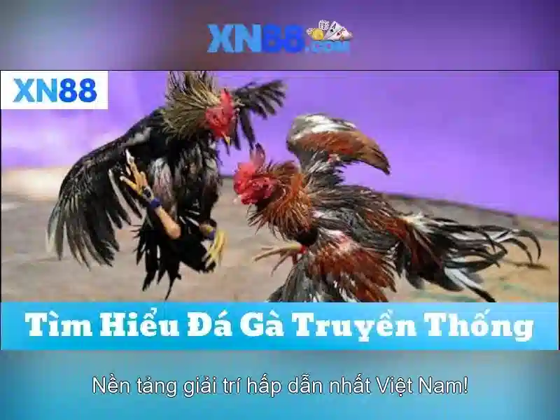 💎kéo nhà cai 5💎 💎kéo nhà cai 5💎