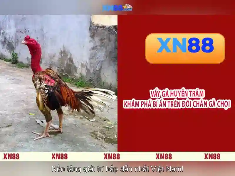 💎lucky fortune slot game💎 💎lucky fortune slot game💎